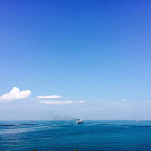 日本ⅩXXXXXXXXX62
